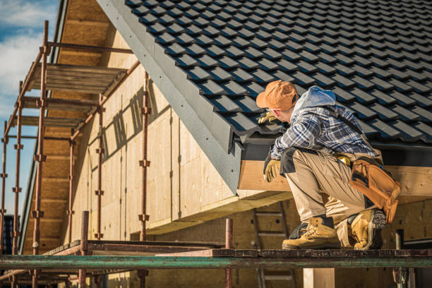 Best Roof Leak Repair  in New Haven, WV