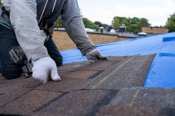Best Roof Gutter Cleaning  in New Haven, WV