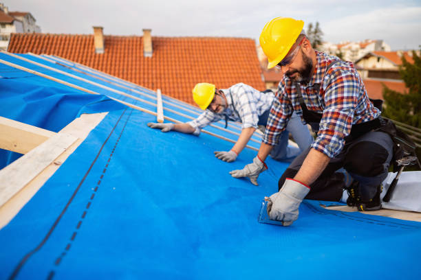 Best Emergency Roof Repair  in New Haven, WV
