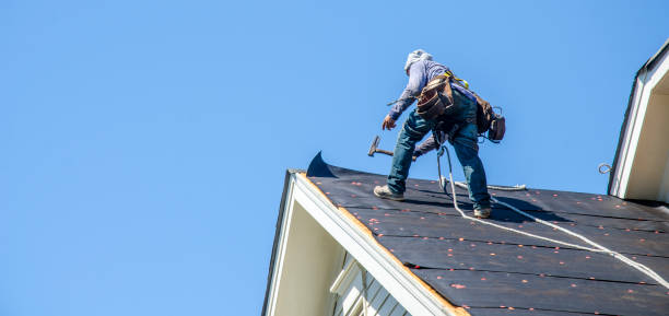 Best Roof Maintenance Services  in New Haven, WV